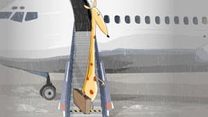 Une girafe sous la pluie — foto 1
