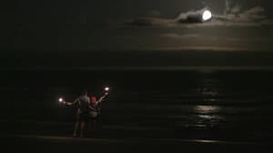 Episodio 7