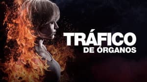 Tráfico de órganos — foto 7