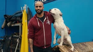 Adiestramiento canino — foto 3