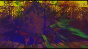 Joose Psychedelia Test — foto 8