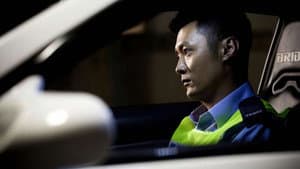車手 — foto 7