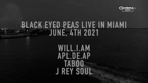 Black Eyed Peas Live at Miami — foto 2