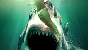 Ghost Shark — foto 1