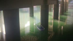 Refuse Room — foto 2