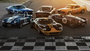 Cazadores de autos millonarios — foto 1