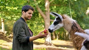 Schlechte Helden oder ein Lama namens Beethoven — foto 1