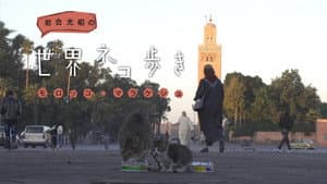 Episodio 6
