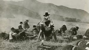 Law of the Badlands — foto 1