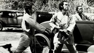 Robin Hood, O Trapalhão da Floresta — foto 1