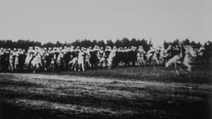 Revue du Bardo : cavalerie — foto 1