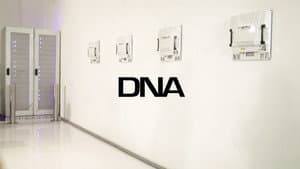 DNA — foto 1