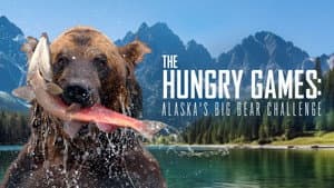 The Hungry Games: Alaska's Big Bear Challenge — foto 2
