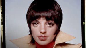 Liza: A Truly Terrific Absolutely True Story — foto 6
