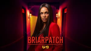 Briarpatch — foto 9