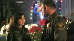 Christmas Caper — foto 11