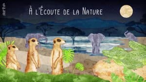 À l’écoute de la nature — foto 1