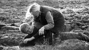 Księstwo — foto 1