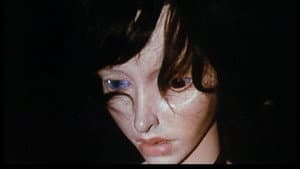 Film sur Hans Bellmer — foto 2