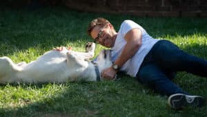 Perro perdido — foto 2