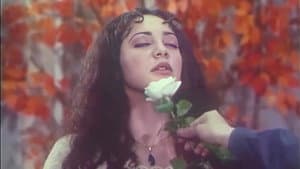 نسيم الروح — foto 2