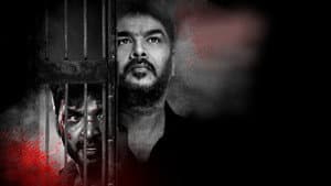 பட்டாம்பூச்சி — foto 7