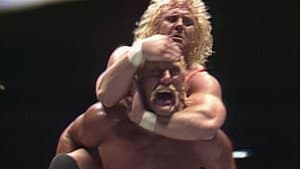 WWE WrestleFest '90 — foto 1