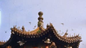 紅隙 — foto 1