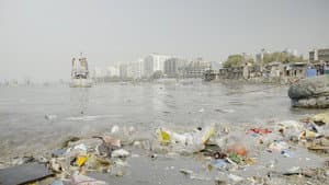 Garbage Ho! — foto 3