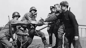 WWII – The End — foto 1