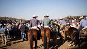 Jaripeo — foto 5