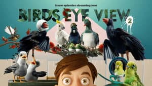 Bird's Eye View — foto 2