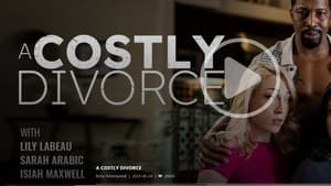 A Costly Divorce — foto 1