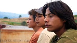 La jaula de oro — foto 2
