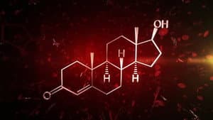The Fantastical World of Hormones with Professor John Wass — foto 2