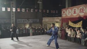 Legend of the wrestler master — foto 3