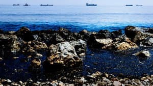 Amoco Cadiz: la marée noire du siècle, 40 ans après — foto 1