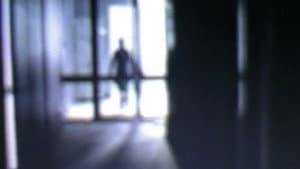 Hamlet X — foto 2