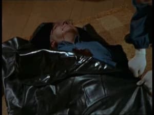 Episodio 11