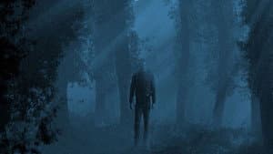 L'ombra del lupo — foto 1