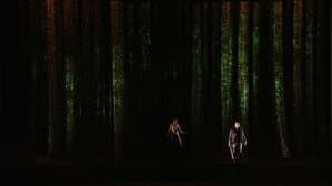 Wagner: Siegfried — foto 4