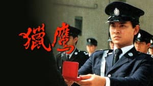 獵鷹 — foto 1