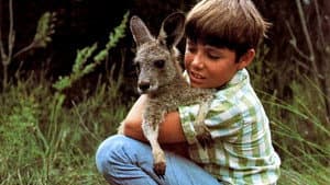 Skippy the Bush Kangaroo — foto 2