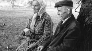 The Hand of Stalin — foto 1