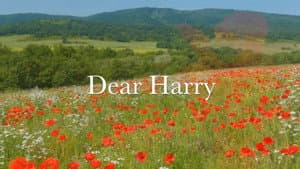 Dear Harry — foto 1