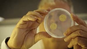 What if...? Genomics in Aotearoa — foto 1