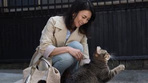 ねことじいちゃん — foto 5