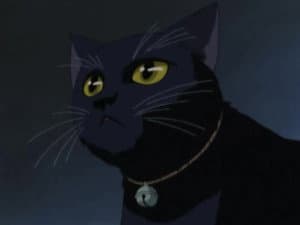 Episodio 8