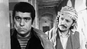 غریبه — foto 1