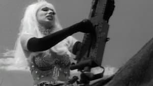 Superstarlet A.D. — foto 2